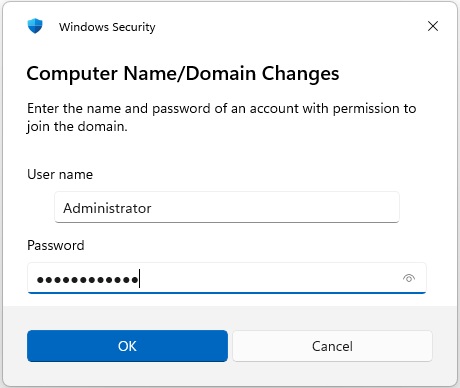 add-win11-domain-25-system-properties