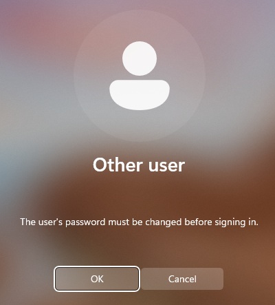 add-win11-domain-39-user-login